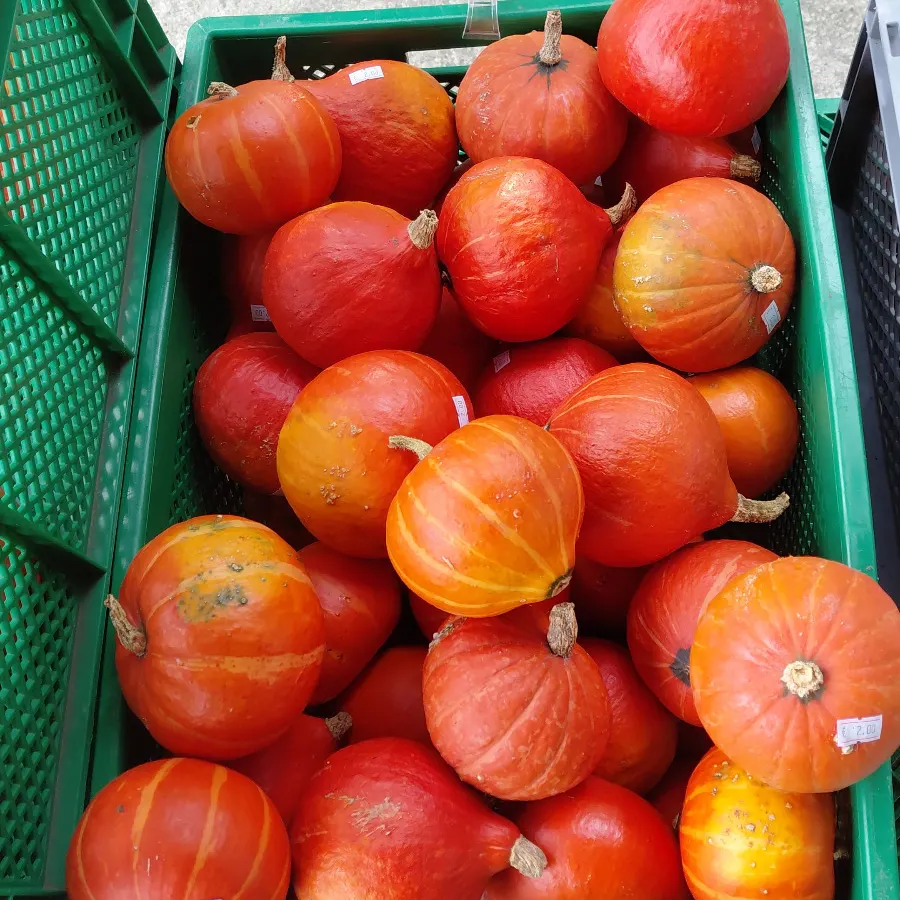 Eine Kiste voller orangefarbener Hokkaido-Kürbisse