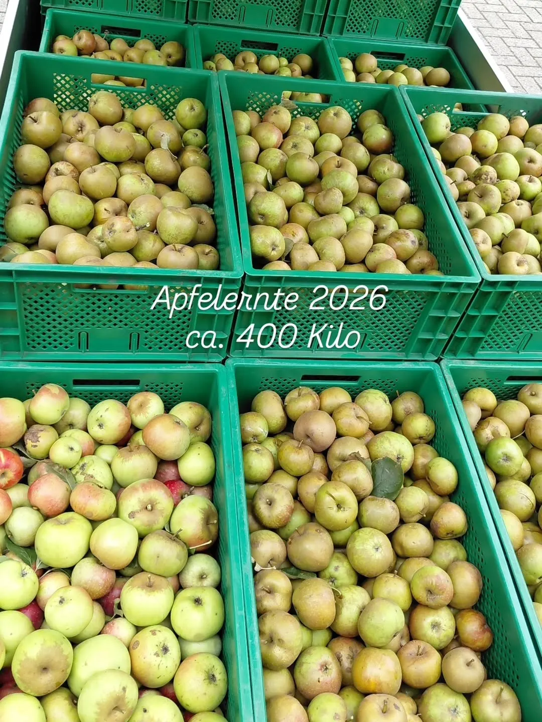 Foto aus einem Instagram-Beitrag von Gemüseliebe, 30. August 2026
