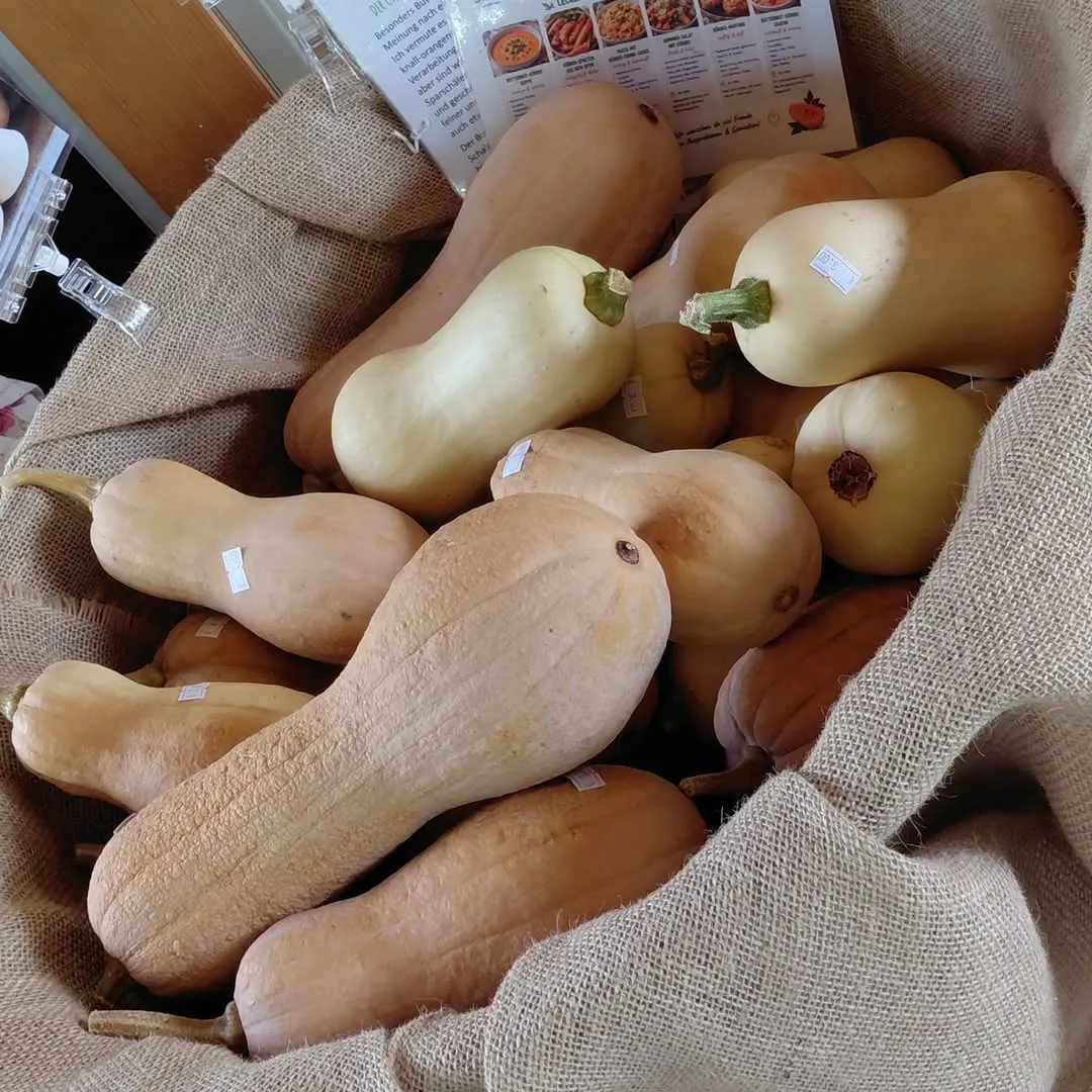 Foto aus einem Instagram-Beitrag von Gemüseliebe, 16. September 2026